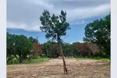 807 Stagecoach, Spring Branch, TX 78070 - Photo 7