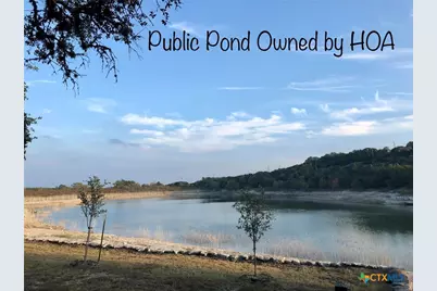 807 Stagecoach, Spring Branch, TX 78070 - Photo 11