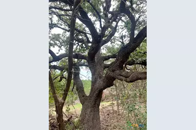 807 Stagecoach, Spring Branch, TX 78070 - Photo 5