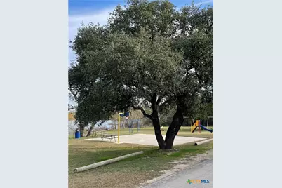 807 Stagecoach, Spring Branch, TX 78070 - Photo 13