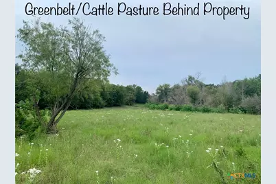 807 Stagecoach, Spring Branch, TX 78070 - Photo 9