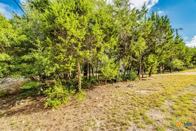 1007 Live Oak Drive, Canyon Lake, TX 78133 - Photo 5