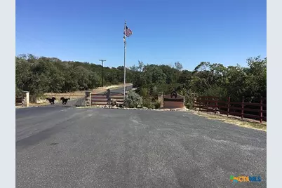 530 Stallion Estates, Spring Branch, TX 78070 - Photo 3