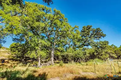 530 Stallion Estates, Spring Branch, TX 78070 - Photo 13