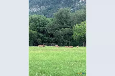 831 Wade Road, New Braunfels, TX 78132 - Photo 21