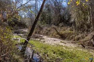 000 County Road 284, Edna, TX 77957 - Photo 19