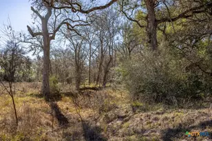 000 County Road 284, Edna, TX 77957 - Photo 23