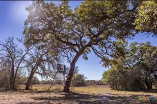000 County Road 284, Edna, TX 77957 - Photo 11