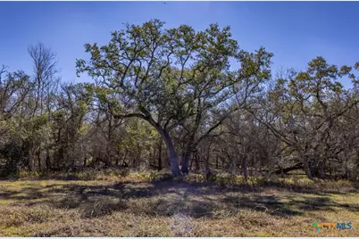 000 County Road 284, Edna, TX 77957 - Photo 25