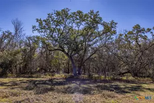 000 County Road 284, Edna, TX 77957 - Photo 25