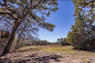 000 County Road 284, Edna, TX 77957 - Photo 9