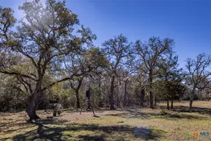 000 County Road 284, Edna, TX 77957 - Photo 7