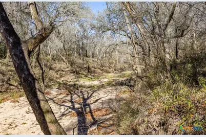 000 County Road 284, Edna, TX 77957 - Photo 3