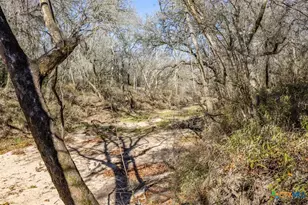 000 County Road 284, Edna, TX 77957 - Photo 3