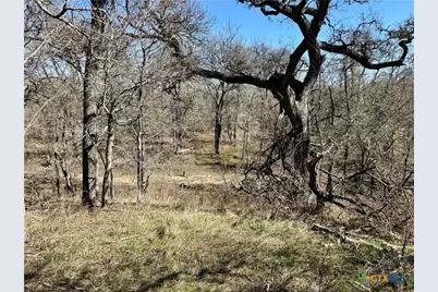 Tbd County Rd 418A, Bartlett, TX 76511 - Photo 15