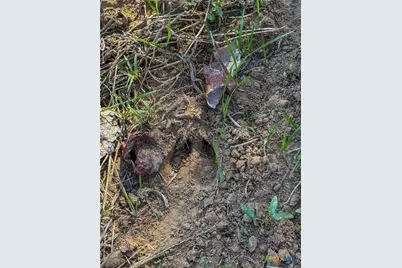 0 Fm 539, La Vernia, TX 78121 - Photo 3