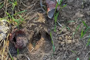 0 FM539, La Vernia, TX 78121 - Photo 3