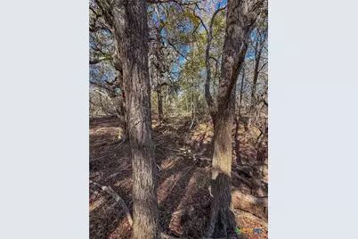 0 Fm 539, La Vernia, TX 78121 - Photo 5