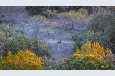 532 Cr 468, Other, TX 76872 - Photo 25