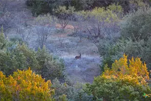 532 Cr 468, Other, TX 76872 - Photo 25