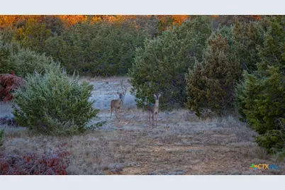 532 Cr 468, Other, TX 76872 - Photo 9