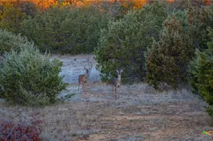 532 Cr 468, Other, TX 76872 - Photo 9