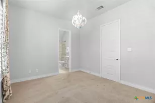 3136 Little Creek Path, Seguin, TX 78155 - Photo 17