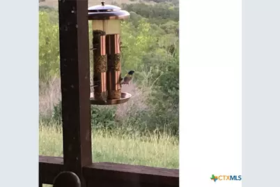 12516 Wire Road, Leander, TX 78641 - Photo 37