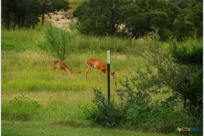 12516 Wire Road, Leander, TX 78641 - Photo 31