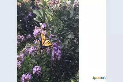 12516 Wire Road, Leander, TX 78641 - Photo 35