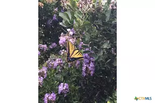 12516 Wire Rd, Leander, TX 78641 - Photo 35