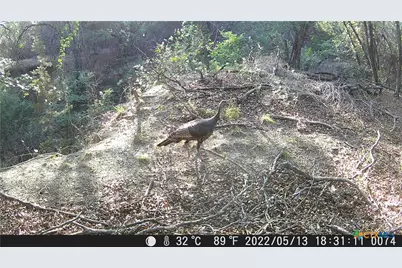 Tbd Farm To Market Rd 1047, Lometa, TX 76853 - Photo 35