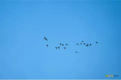 Tbd Farm To Market Rd 1047, Lometa, TX 76853 - Photo 33