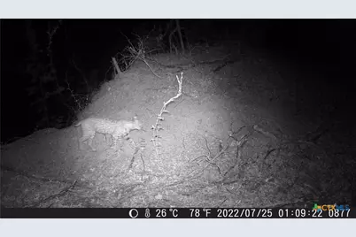 Tbd Farm To Market Rd 1047, Lometa, TX 76853 - Photo 37