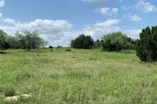 2160 Private Road 42110, Evant, TX 76525 - Photo 9