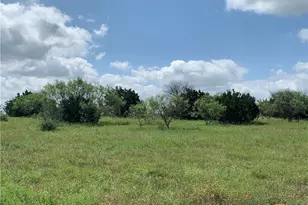 2160 Private Road 42110, Evant, TX 76525 - Photo 11