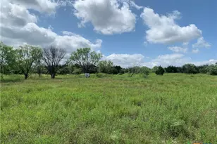 2160 Private Road 42110, Evant, TX 76525 - Photo 5