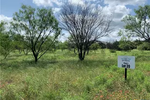 2160 Private Road 42110, Evant, TX 76525 - Photo 3