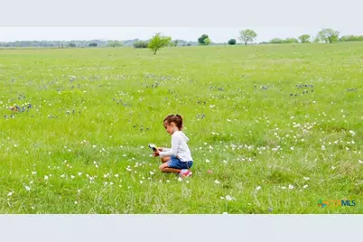 1291 County Road  259, Cameron, TX 76520 - Photo 5