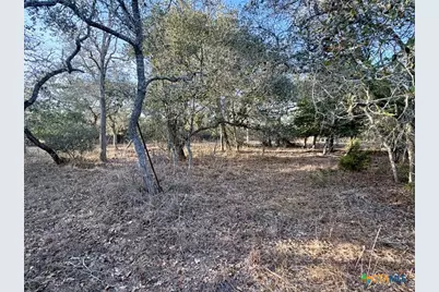 000 Private Road 1067, Hallettsville, TX 77964 - Photo 3