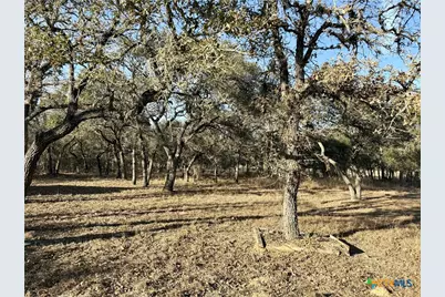 000 Private Road 1067, Hallettsville, TX 77964 - Photo 1