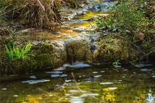 00 Fm 2843, Salado, TX 76571 - Photo 3