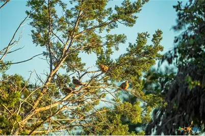 00 Fm 2843, Salado, TX 76571 - Photo 7