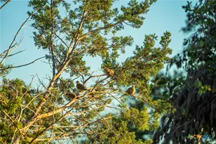 00 Fm 2843, Salado, TX 76571 - Photo 7