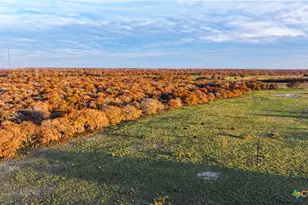 Tbd Tx-123, Seguin, TX 78155 - Photo 15