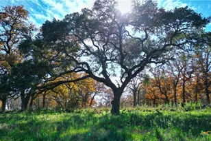 Tbd Tx-123, Seguin, TX 78155 - Photo 5