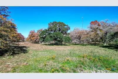 Tbd Tx-123, Seguin, TX 78155 - Photo 7