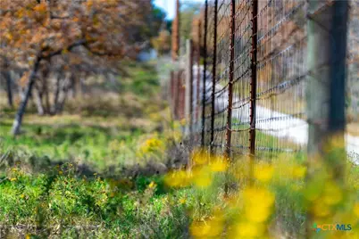 Tbd Tx-123, Seguin, TX 78155 - Photo 11