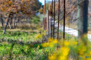 Tbd Tx-123, Seguin, TX 78155 - Photo 11