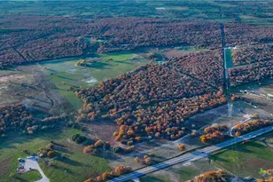 Tbd Tx-123, Seguin, TX 78155 - Photo 25